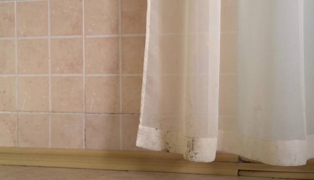 Best Residential Mold Inspection & Testing  in Memphis, FL