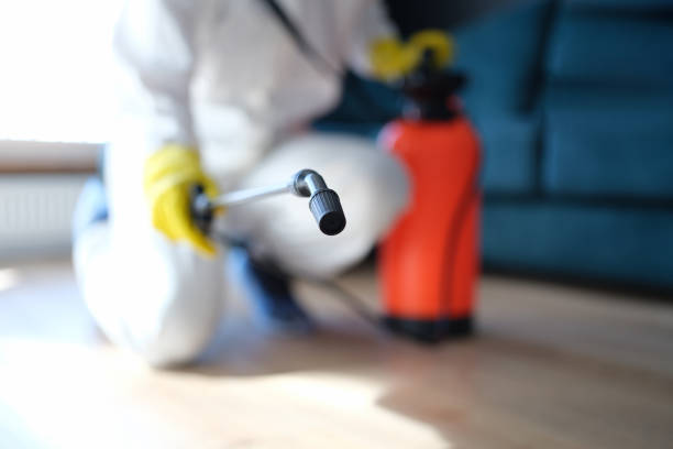 Best Forensic Mold Investigation  in Memphis, FL