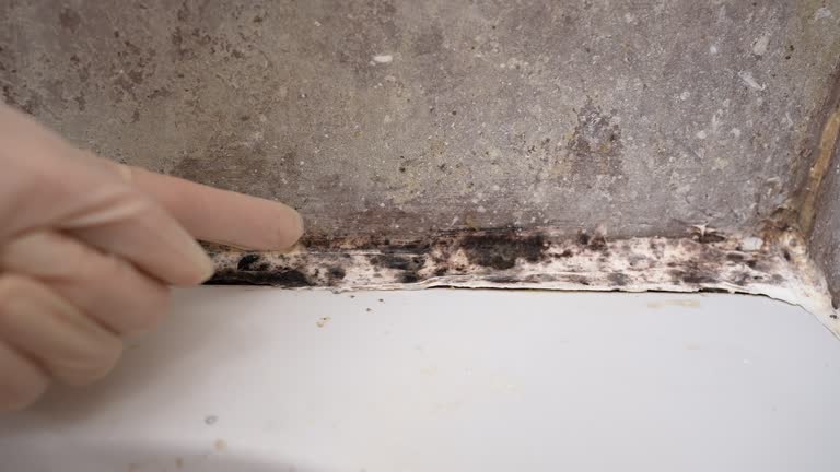 Best Airborne Mold Testing  in Memphis, FL
